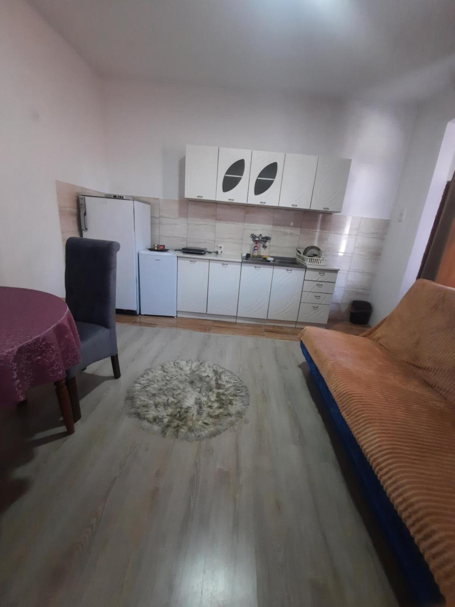 Apartament Apartman Maja Bajina Basta Zewnętrze zdjęcie